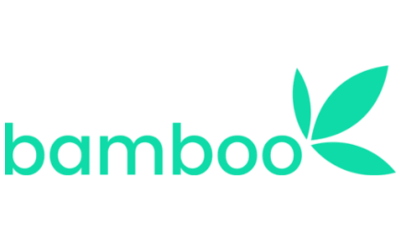 Bamboo